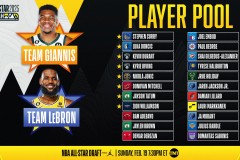 诺维茨基力挺下，NBA新星弗拉格蜕变成长之路